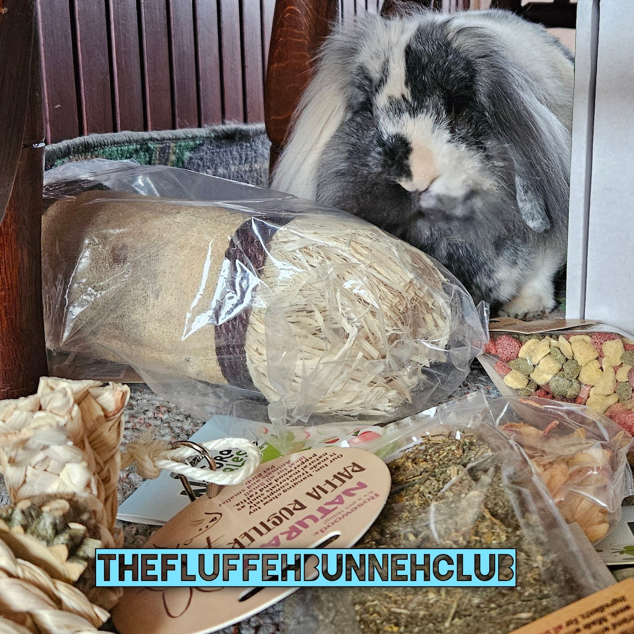 Fluffy grey and white lop-eared buny sitting next to hay and treat packages in a hutch