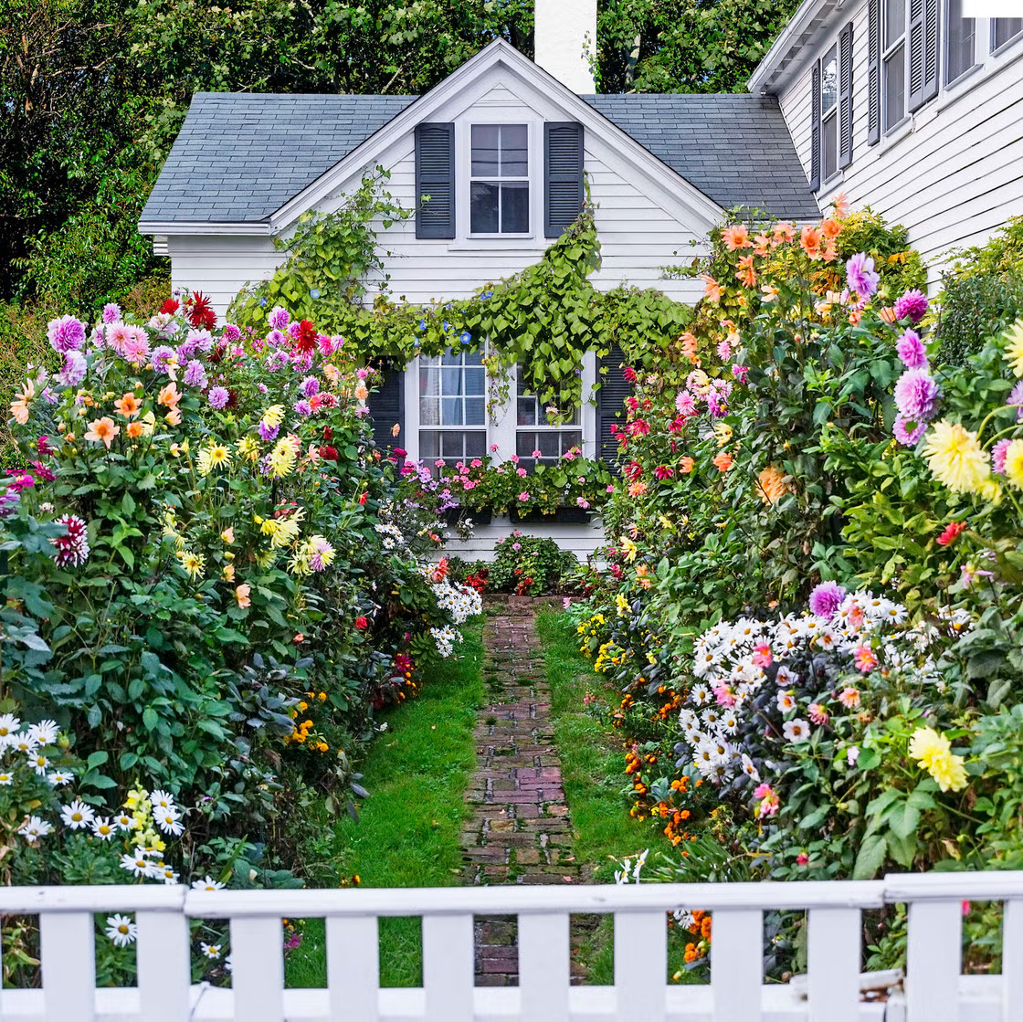 Garden path with colorful flowers leading to white cottage entrance with picket fence