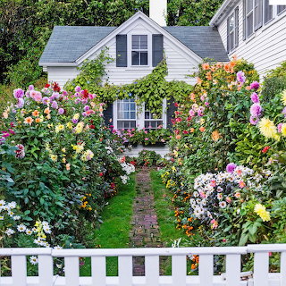 Cottage Garden Path Flowers