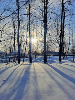 Snowy forest path with bare trees and long shadows in golden winter light
