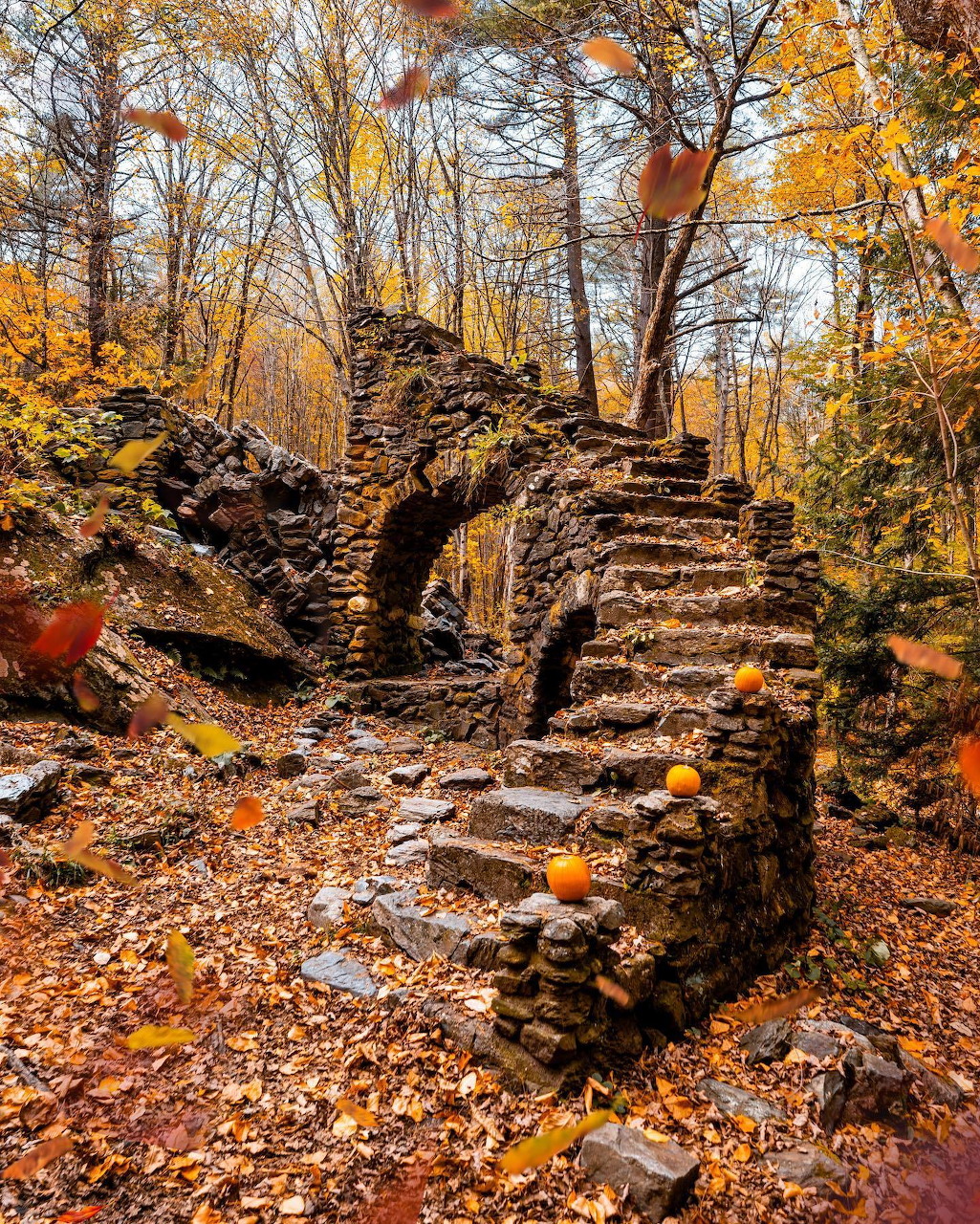 Stone steps ascending through autumn forest with golden leaves