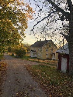 Yellow wooden house beside a dirt road surrounded by autumn trees with fallen leaves