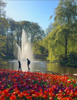 Colorful tulips along a pond with a fountain and two people walking, surrounded by green trees