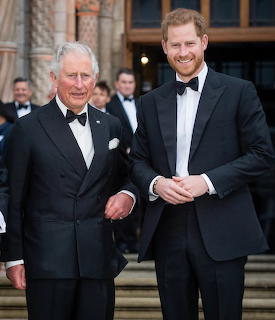 Two men in formal tuxedos standing together at an elegant evening event