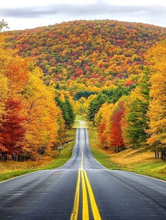 Straight road with yellow lines through colorful autumn trees leading to a forested hill