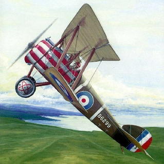 Vintage Biplane Painting