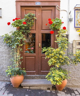 Brown wooden door with number 22 surrounded by poted green plants and red geraniums on stone steps