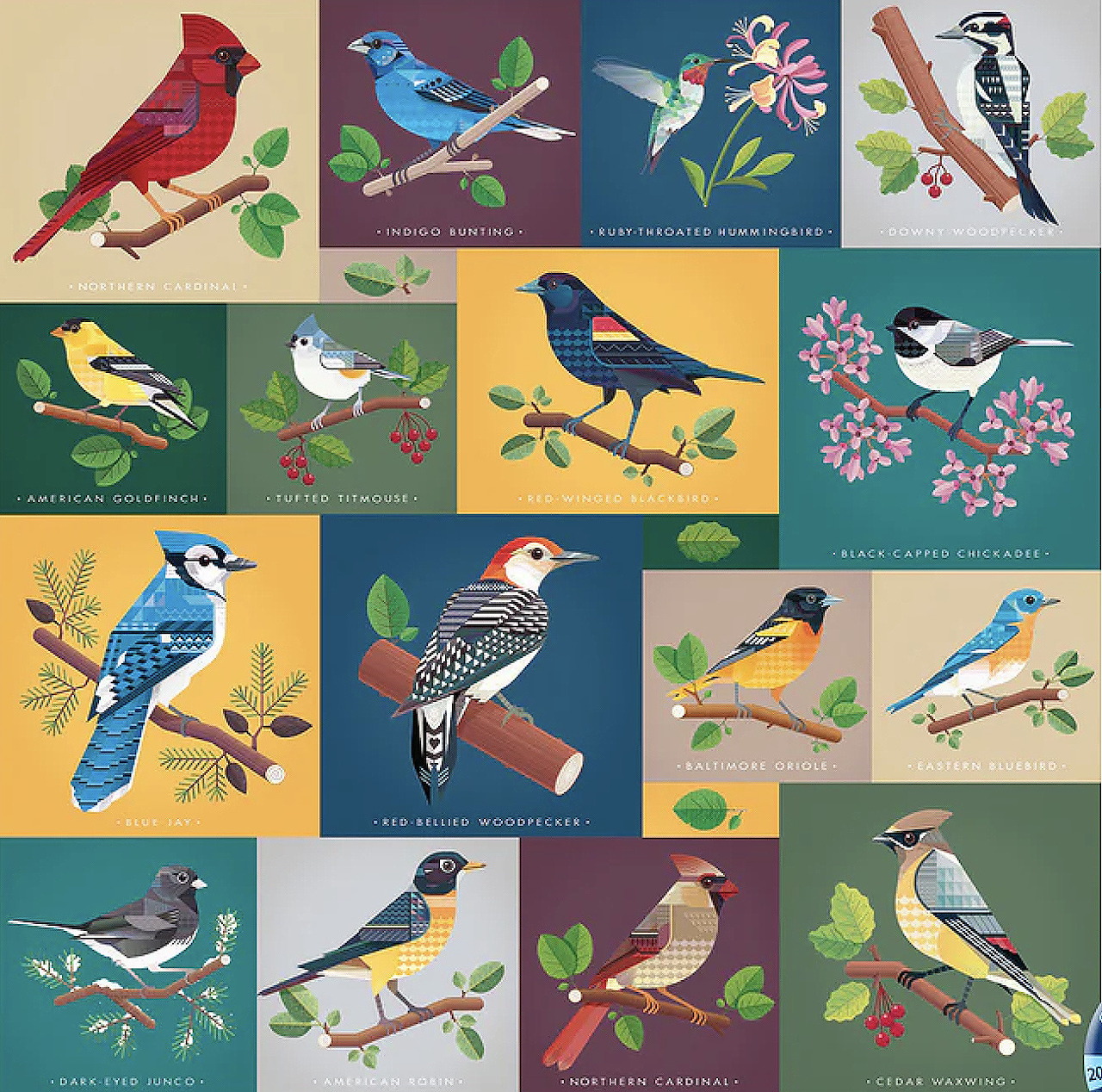 Collage of colorful bird illustrations on square panels with branches, flowers, and leaves