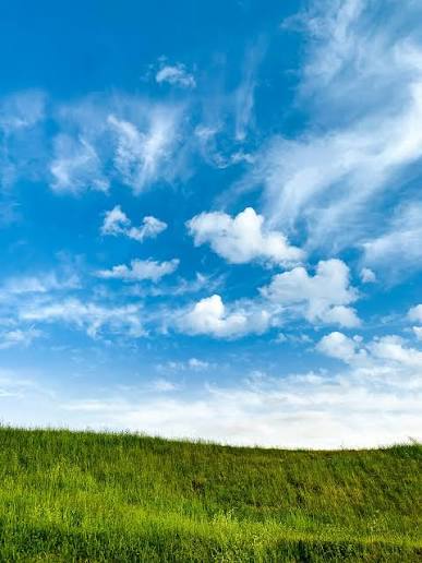 Blue sky with white clouds over green grassy hillside on sunny day