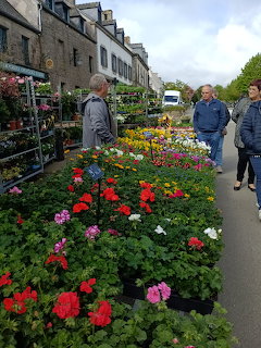 Colorful flower market on French village street with shoppers and potted plants