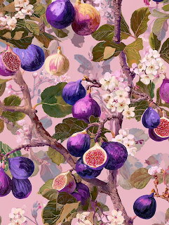 Illustration of fig branches with purple figs, leaves, and white blossoms on a pink background