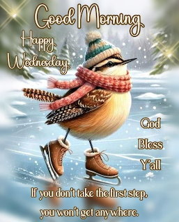 Bird on Ice Skates