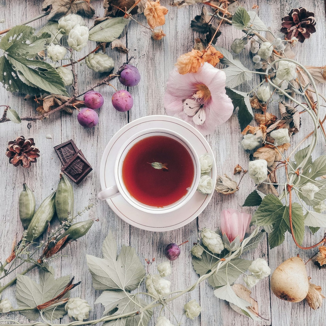 Top view of herbal tea in white cup surrounded by dried flowers and herbs on wood table