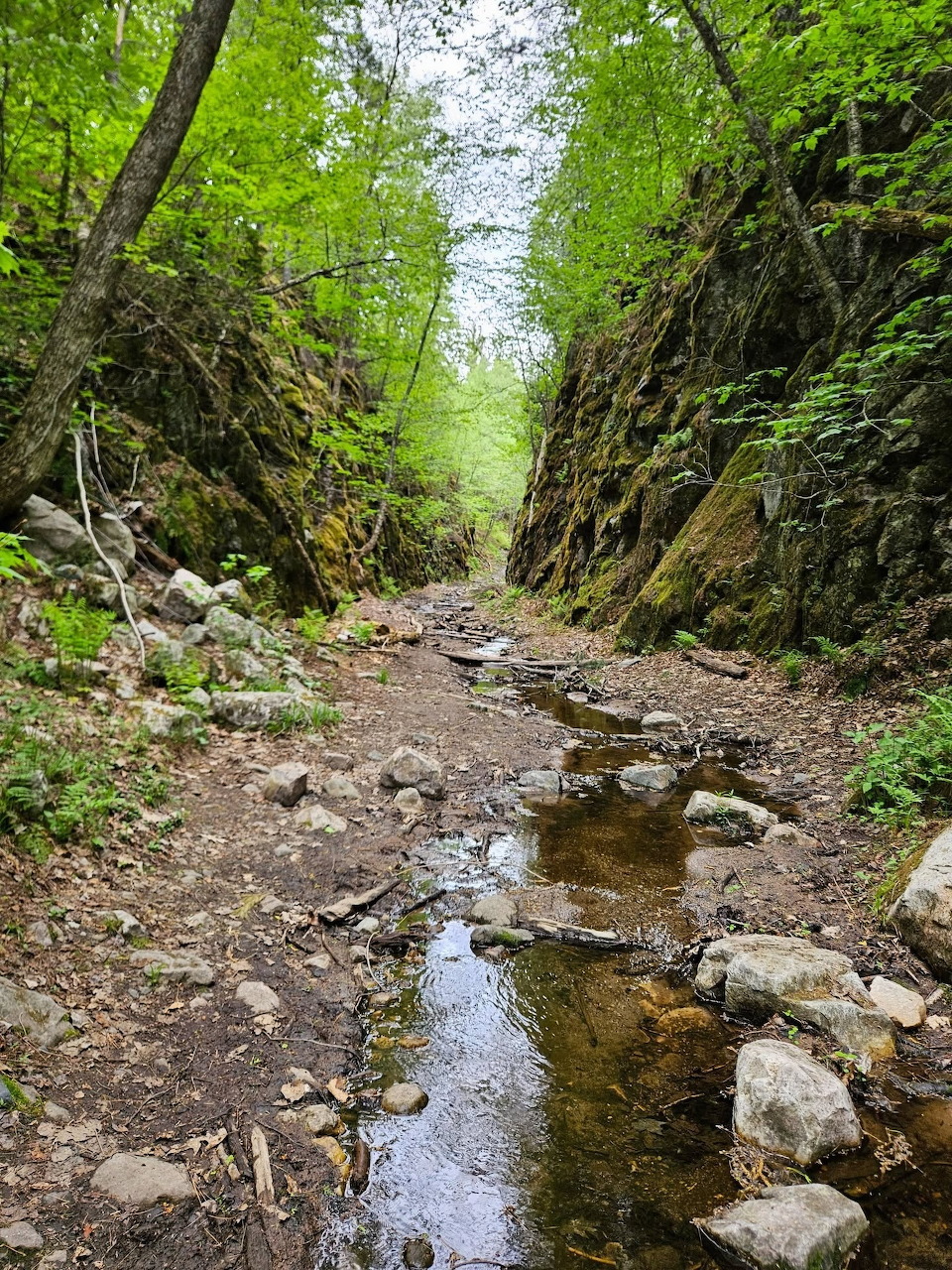 Upper Peninsula Michigan Gorge