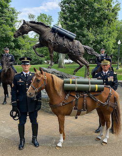Military Horse Statue Ceremony