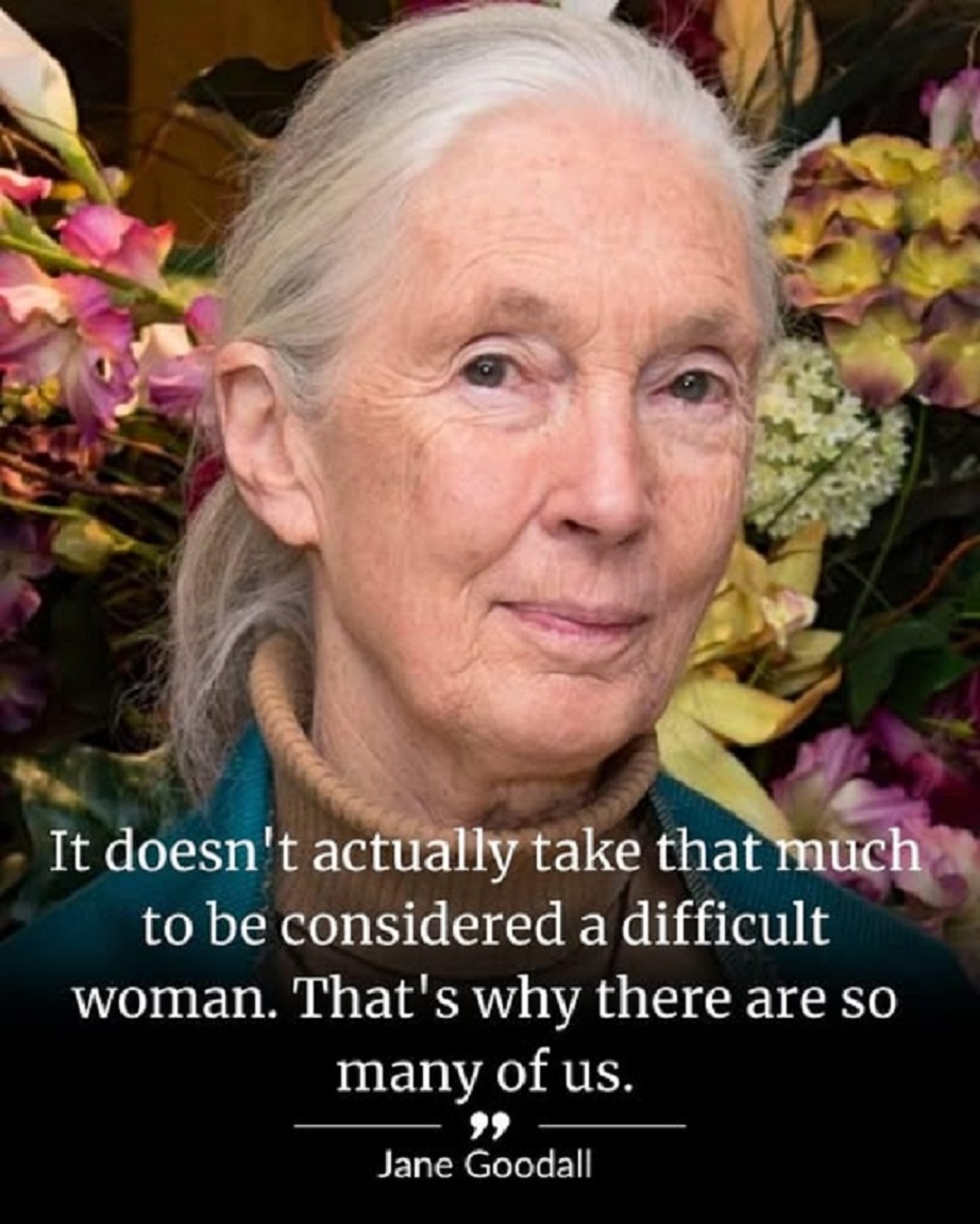 Dr. Jane Goodall Quote