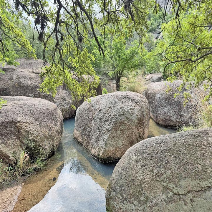 Stream flowing between large rounded rocks with green tree canopy overhead