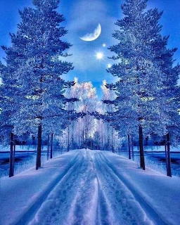 Snowy forest road lined with frosted pine trees under a bright moon and blue winter sky