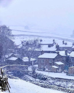 Snow-covered village houses with trees under grey winter sky