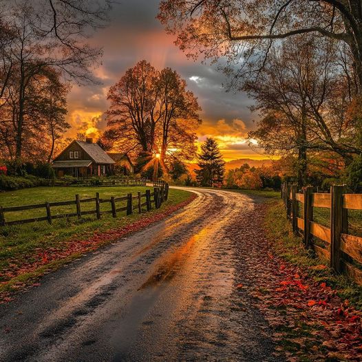 Winding wet country road with wooden fences leading to a cottage amid autumn trees at sunset