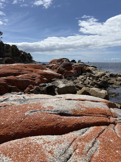 Orange-red lichen covered rocks on coastal beach with blue ocean and sky