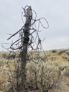 Weathered wooden fence post with tangled barbed wire in Wyoming prairie landscape