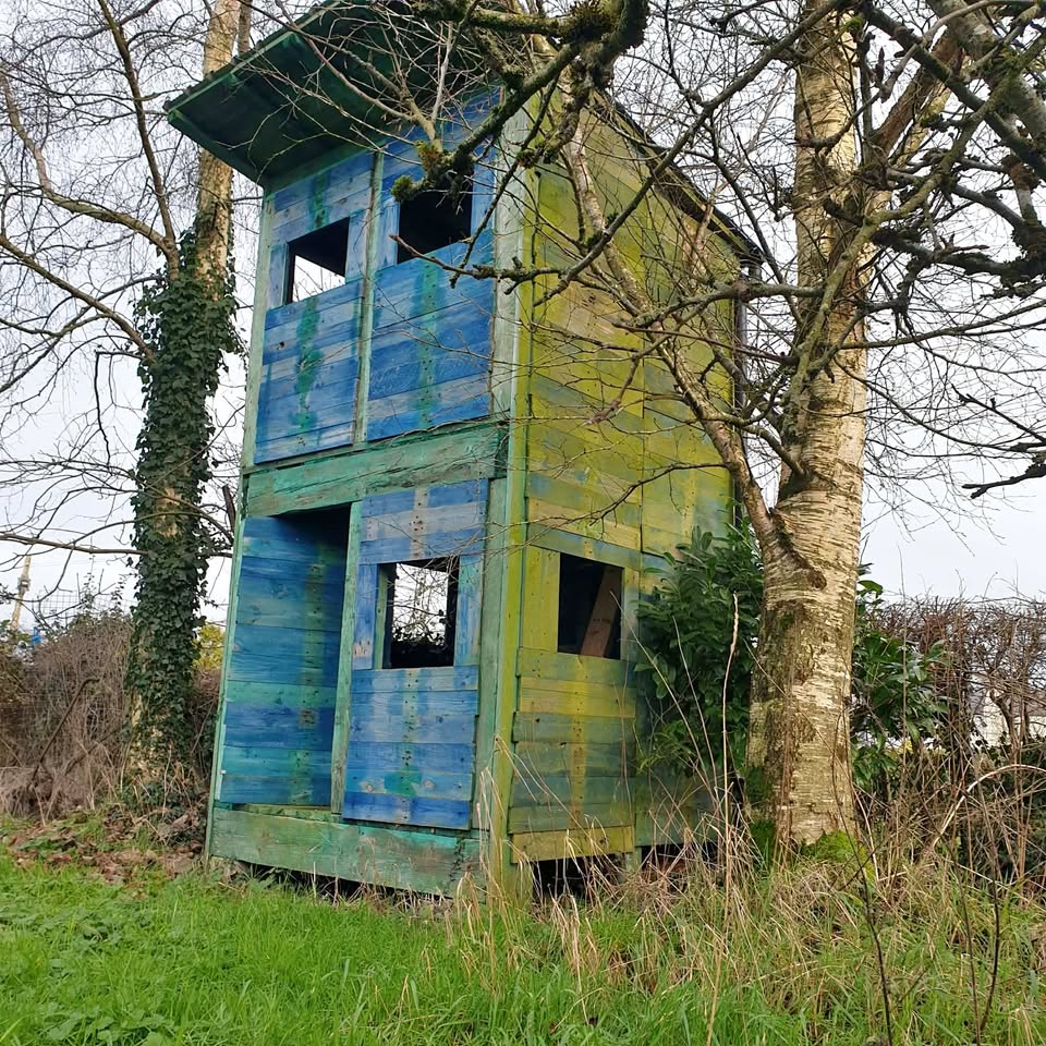 Colorful wooden kids tree house beside tall trees in a grassy outdoor area