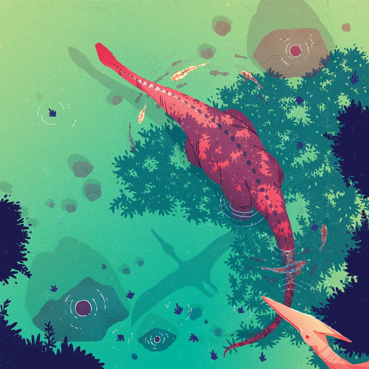 Illustration of a red dinosaur-like creature swimming underwater among plants and fish