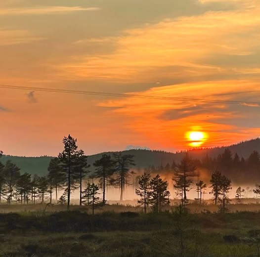 Orange sunset above misty trees and low hills in a forest landscape