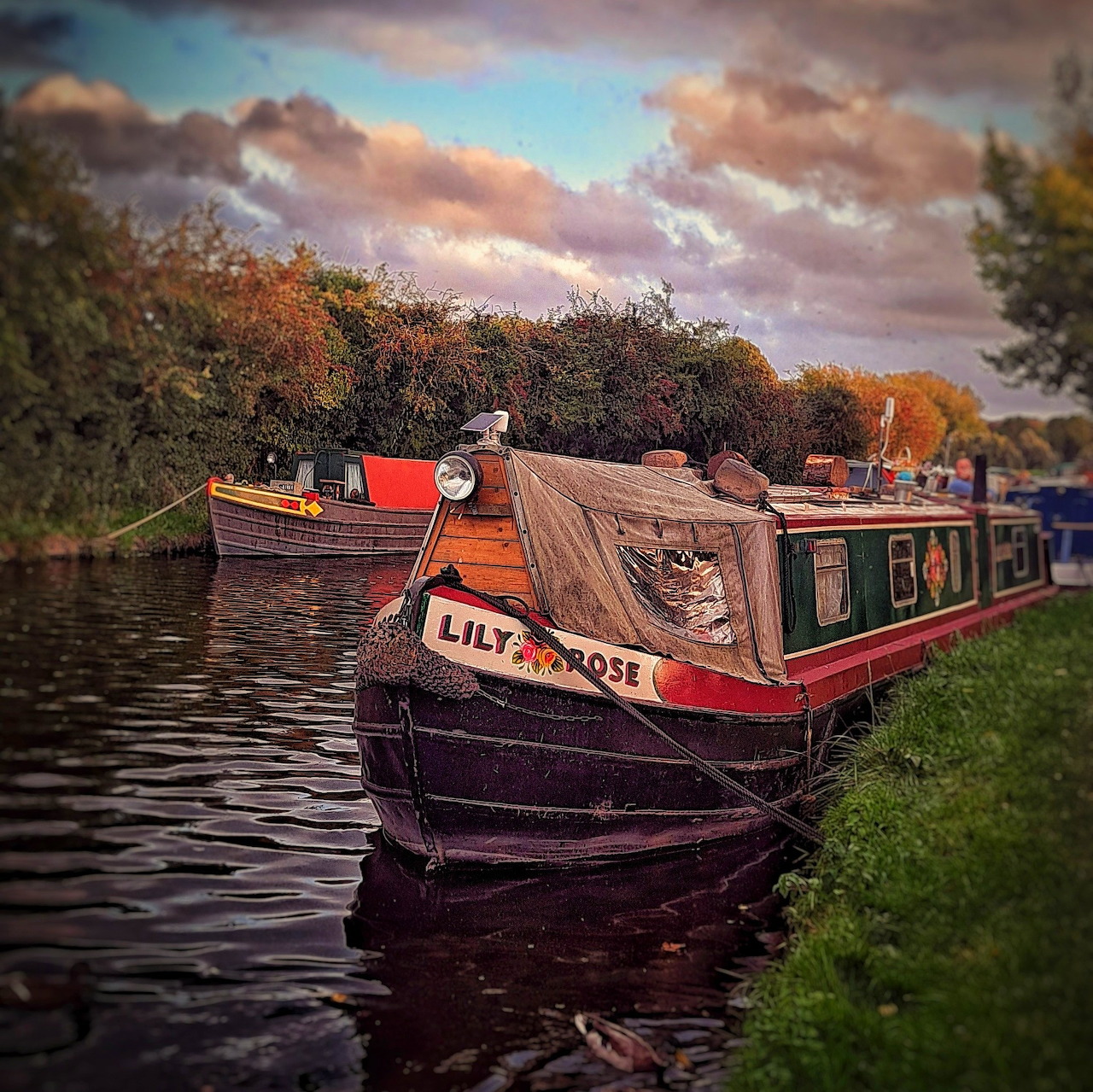 Narrowboat Lily Rose moored on a canal with trees and another boat behind it