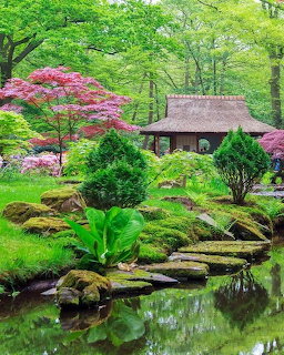 Japanese garden with thatched pavilion, mossy stones, pink trees and a reflecting pond.
