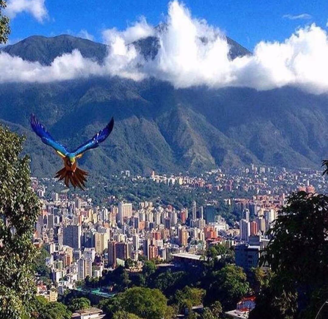 Caracas Cityscape