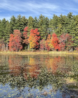 Vermont Autumn Lake Foliage