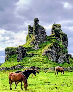 Moss-covered stone castle ruins on green hill with horses grazing beneath cloudy sky