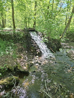 Small waterfall over stones into a forest stream surrounded by green trees