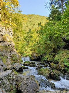 Rocky mountain stream with small waterfall cascading through a forested gorge with green trees