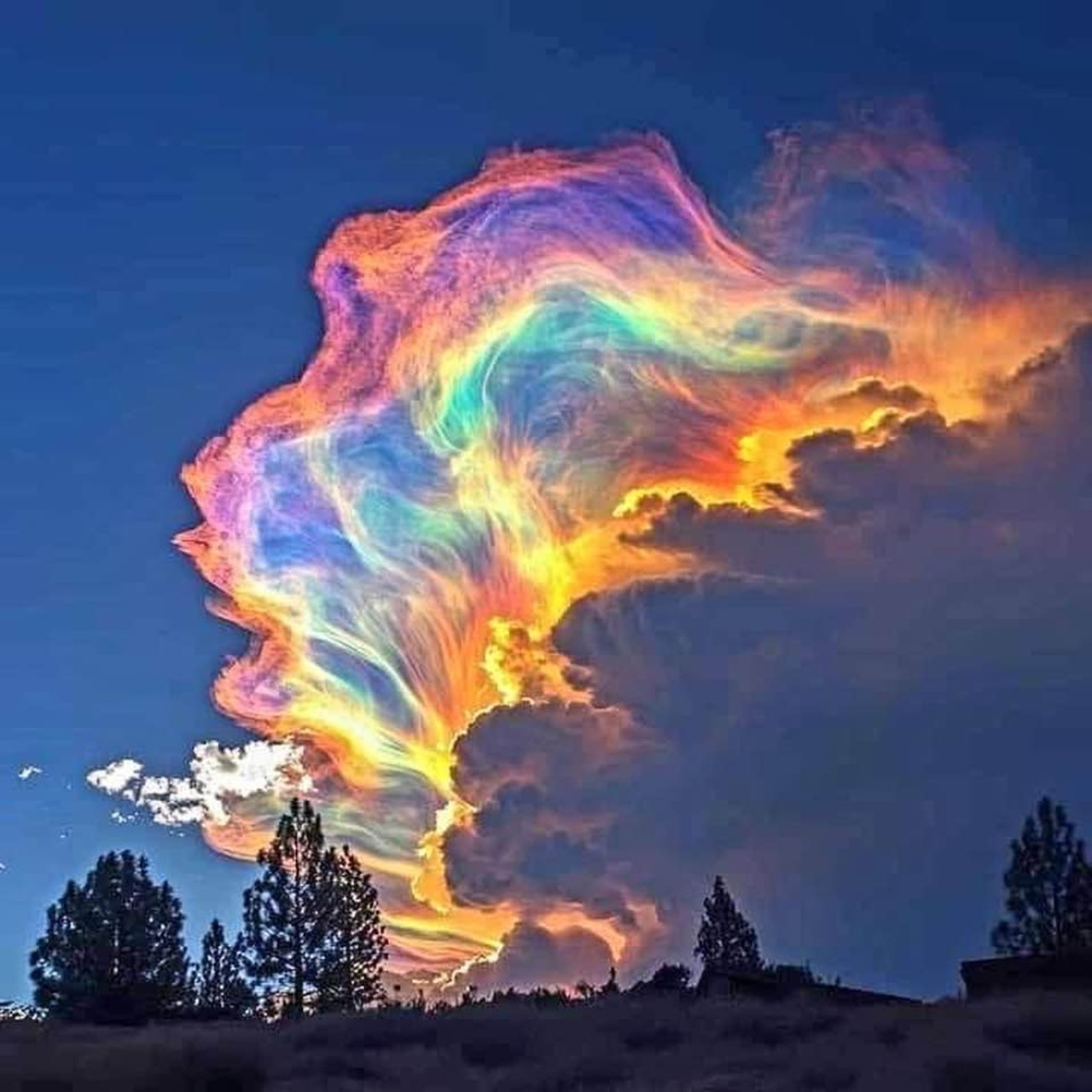 Rainbow-colored sunset cloud above silhouetted pine trees and a hillside