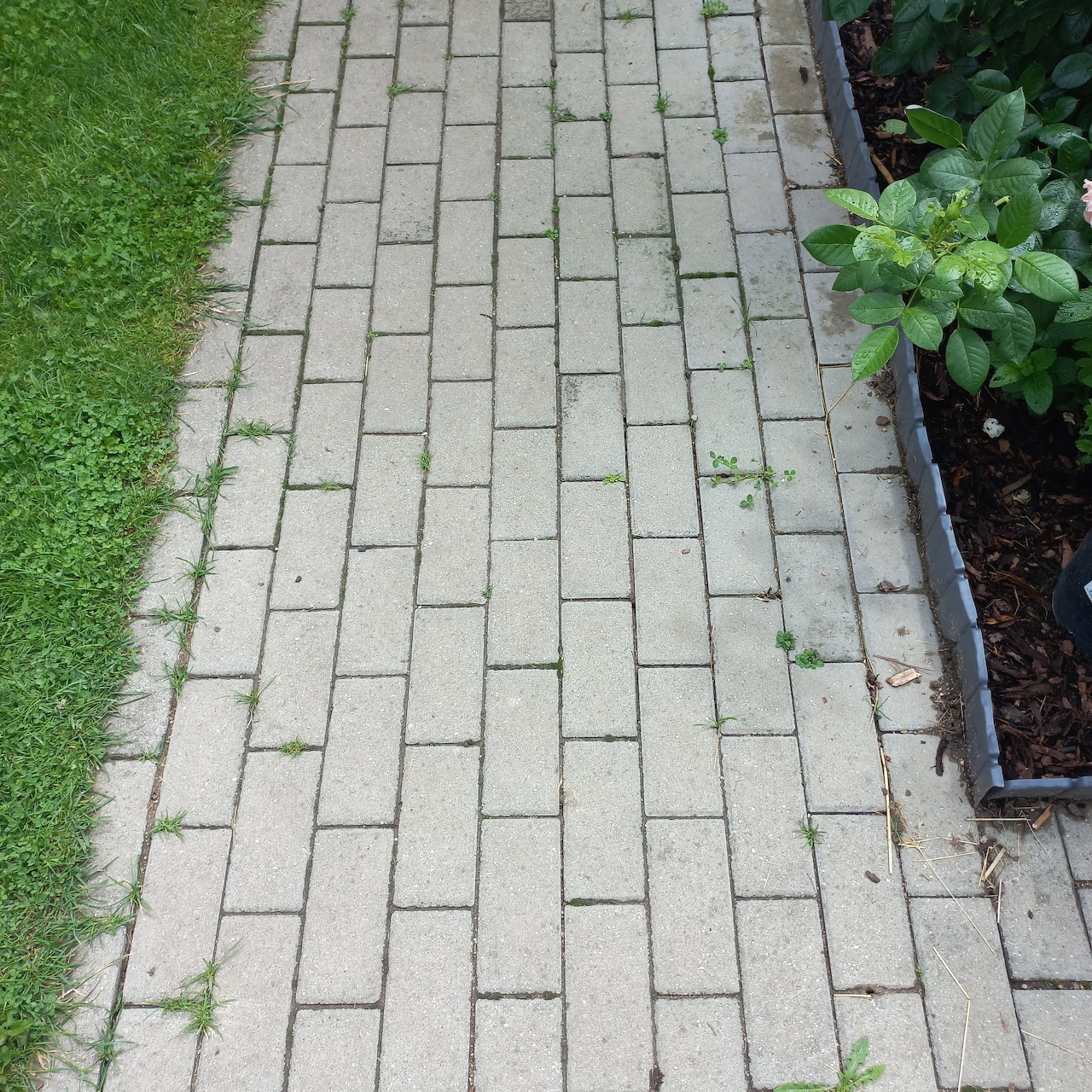 Brick Garden Path