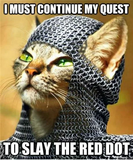 Funny Cat Meme