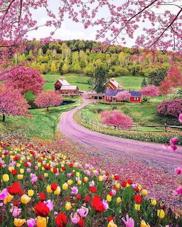 Spring Flower Garden Landscape