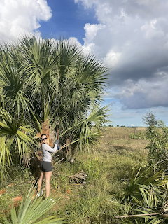 Woman standing next to a cabbage palm tree in a green wetland field with cloudy sky