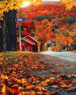 Red barn on a country road covered in fallen autumn leaves with colorful orange and red foliage