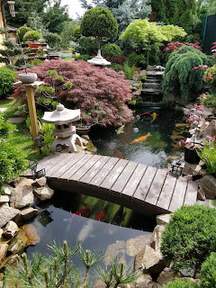 Japanese Garden Koi Pond