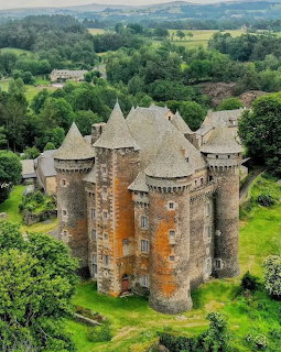 Stone castle with round towers and pointed roofs surrounded by lush green trees