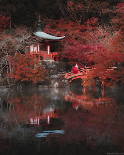 Japanese temple and red bridge by a pond with autumn leaves and reflections