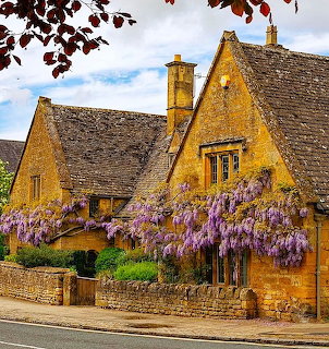 Golden stone cottage with thatched roof covered in purple wisteria flowers in English village