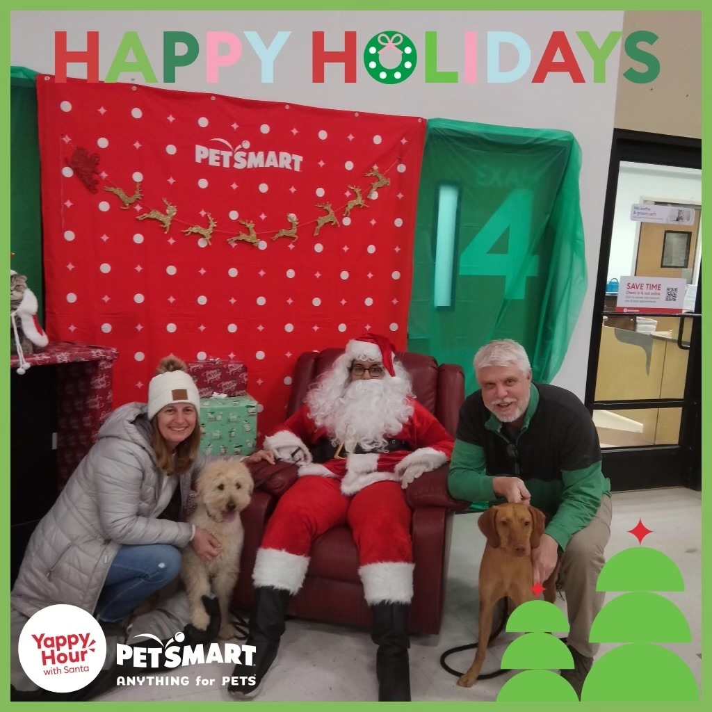 Santa with two adults and two dogs at a holiday indoor display