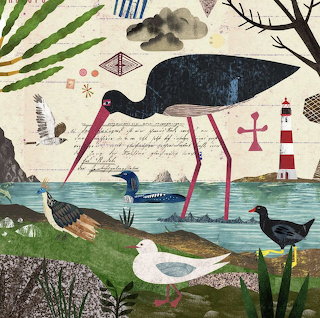 Coastal Birds Illustration