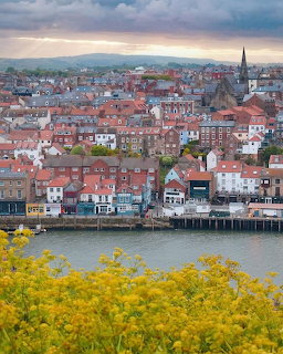 Aerial view of Whitby town with harbor, colorful roftops, church spire, and yellow flowers in foreground