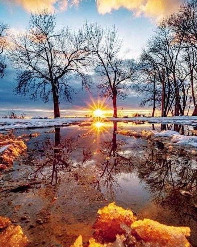 Winter sunset behind leafless trees reflected in a puddle on a snowy field